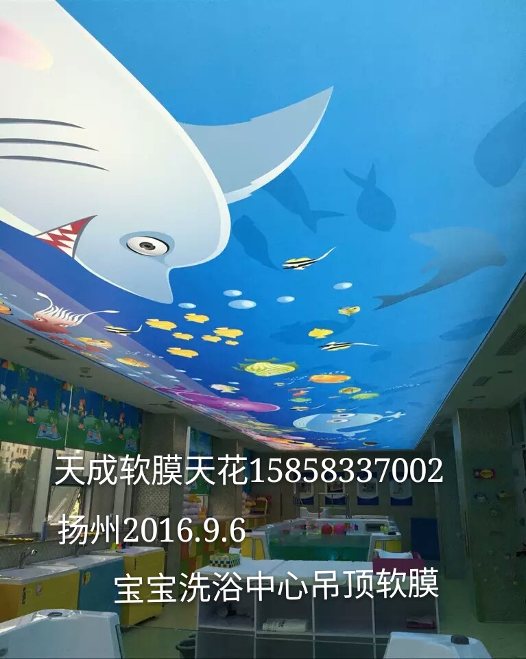 松江可定做透光膜燈箱=燈箱拉膜=噴繪膜 天成軟膜天花廠家圖片_高清圖_細(xì)節(jié)圖-天成軟膜天花裝飾材料 -